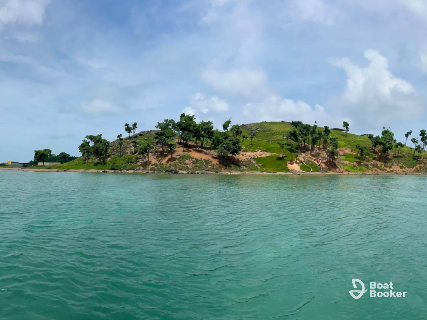 Curate Offshore Fishing