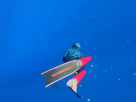 A diver explores the vibrant underwater world, showcasing the thrill of snorkeling in crystal-clear waters — a perfect adventure for marine enthusiasts.