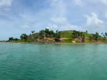 Curate Offshore Fishing