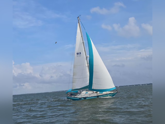 Listing image 1187439