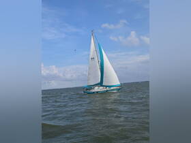 A beautiful sailboat glides through the water under a clear blue sky, showcasing its vibrant sails and perfect for sailing enthusiasts.