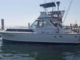 Charter Image