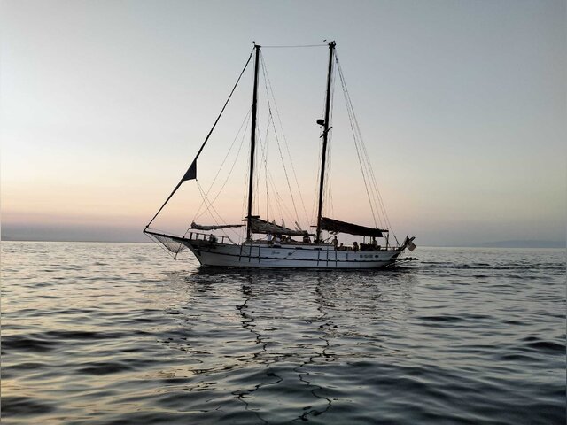 Listing image 1187714