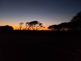 A silhouette of trees against a vibrant sunset sky, creating a serene and picturesque scene.