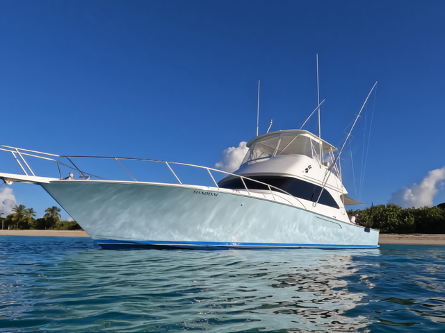 Listing image 1189542
