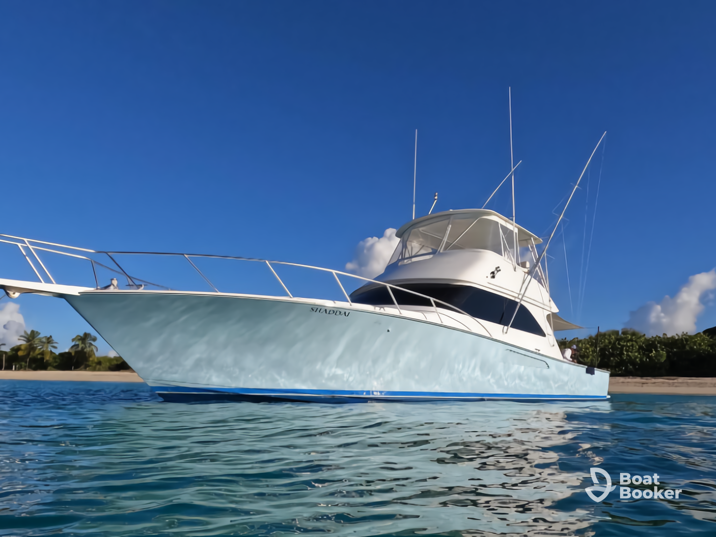 Benitez 360 VIP Charter Boat