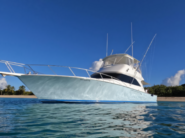 Benitez 360 VIP Charter Boat