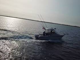 Charter Image