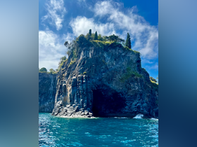 A stunning view of a rocky coastline with lush greenery atop, showcasing the natural beauty of the area — perfect for scenic boat tours and exploration.
