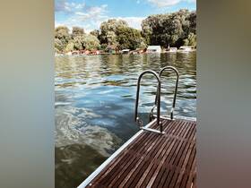 A view of a dock with a ladder leading into the water, surrounded by trees and houses in the background. The image lacks clarity and focus.