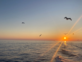 A breathtaking sunset over the ocean, with birds soaring through the sky — a perfect moment capturing the beauty of nature at sea.