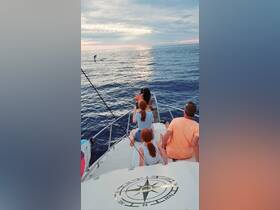 A family enjoys a breathtaking sunset while watching dolphins leap in the distance — a perfect moment of joy and connection on the water.