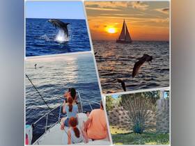 A family enjoys a scenic boat ride while watching dolphins jump in the water at sunset, creating a memorable wildlife experience.