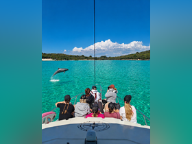A group of guests on a boat enjoys a thrilling moment as a dolphin leaps from the crystal-clear waters, showcasing the beauty of marine wildlife encounters.