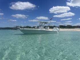 A sleek speedboat anchored in crystal-clear waters, showcasing its elegant design against a backdrop of blue skies and lush greenery.