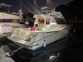 A beautifully lit Rodman 250 yacht docked at night, showcasing its sleek design and inviting atmosphere for evening cruises.
