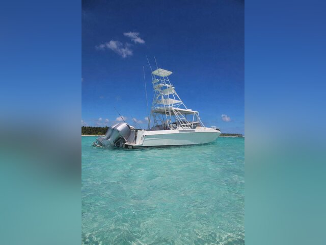 Listing image 1189416