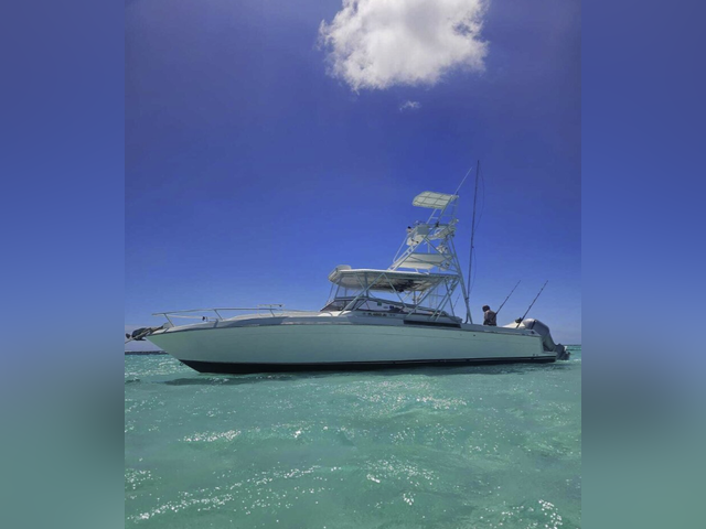 Listing image 1193348