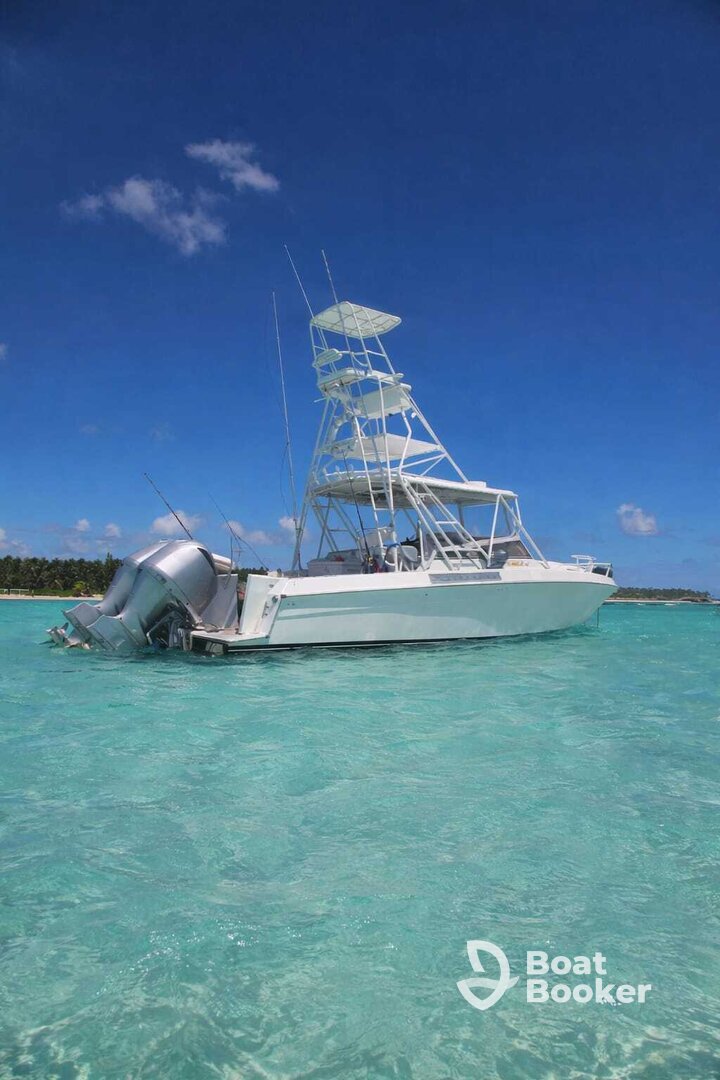 Deep Sea Fishing Charter – Boat Tours