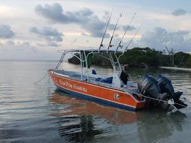 A vibrant speedboat named 'Belize Diving Adventures' docked in calm waters, perfect for exploring the beautiful marine life of Belize.
