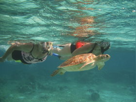 Two snorkelers swim alongside a sea turtle in crystal-clear waters, showcasing a beautiful underwater wildlife encounter.