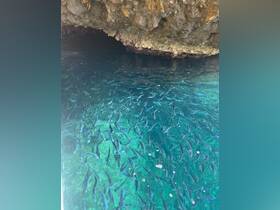 A stunning underwater view showcasing a school of fish swimming in crystal-clear waters beneath a rocky overhang, perfect for marine life enthusiasts.