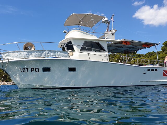 Listing image 1190221