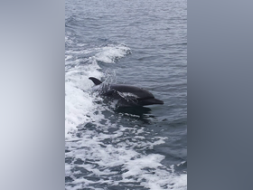 Charter Image