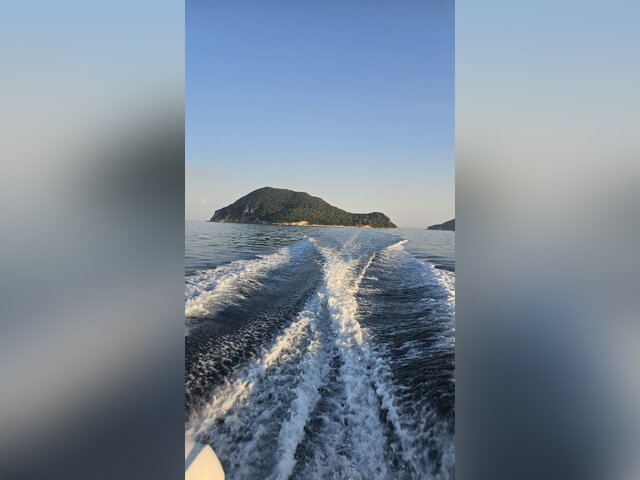 Listing image 1190380