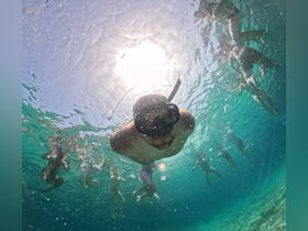 A group of snorkelers enjoys an underwater adventure, showcasing the vibrant marine life and crystal-clear waters — perfect for aquatic exploration.