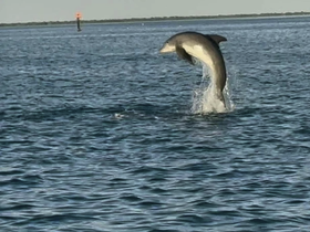 Charter Image