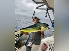 A proud angler holds up a large dolphin fish aboard a boat, showcasing the thrill of fishing on the open sea.