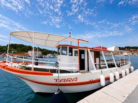 A beautifully docked boat named 'TARA' showcases its vibrant design against a clear blue sky, perfect for leisurely outings or charters.