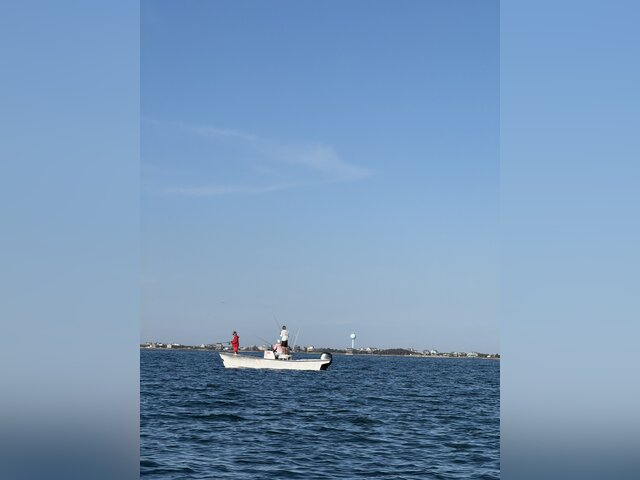 Listing image 1190973
