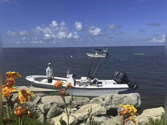 Listing image 1191992