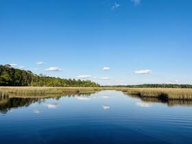 A serene view of calm waters reflecting the blue sky and lush greenery, perfect for showcasing the natural beauty of a boating adventure.