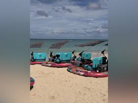 Colorful paddleboards lined up on the beach, ready for fun water activities — perfect for a day of adventure and relaxation by the sea.