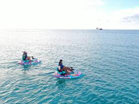 A group enjoys a fun day on the water, paddleboarding on colorful inflatable boats — perfect for adventurous outings and water sports.
