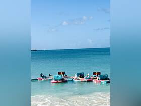A vibrant display of paddleboards anchored in clear turquoise waters, perfect for water sports enthusiasts looking to enjoy a day on the sea.