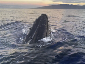 Charter Image