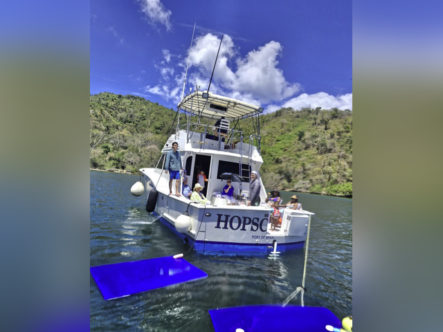 Listing image 1193797