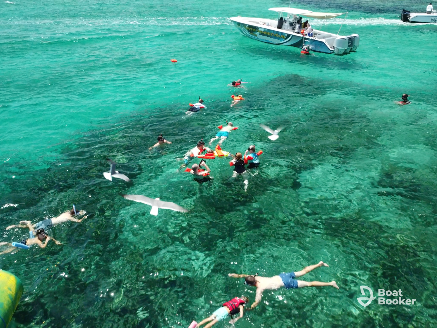 Exotic Rendezvous Charters