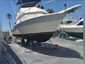 Charter Image