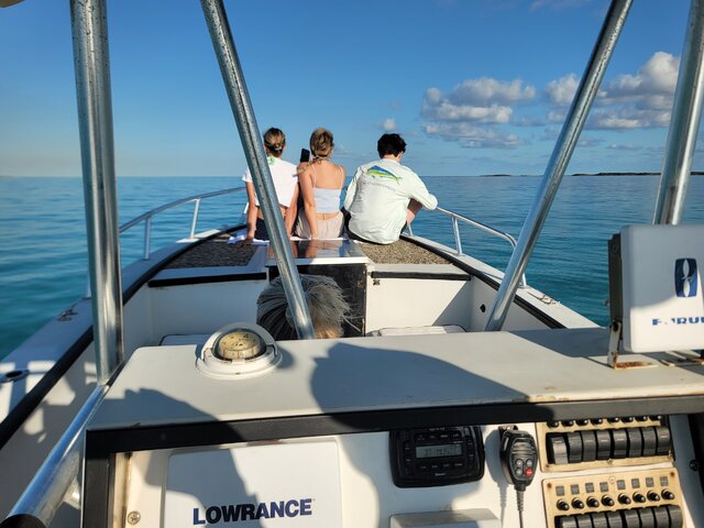 Listing image 1192624