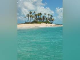 A picturesque view of a secluded island with palm trees and pristine sandy beaches, perfect for tropical getaways and eco tours.