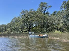 A serene view of a boat docked amidst lush greenery, showcasing a peaceful moment on the water.