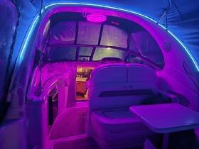 A vibrant interior view of a Sea Ray boat, featuring stylish seating and ambient lighting, perfect for cozy gatherings or relaxing trips on the water.
