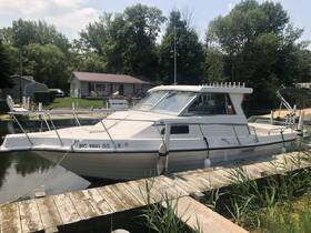 A well-maintained boat docked at a serene location, surrounded by lush greenery — perfect for leisurely outings on the water.