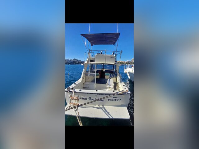 Listing image 1192669