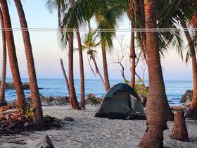 A serene beach scene featuring a tent surrounded by palm trees and a view of the ocean. Ideal for camping enthusiasts seeking a peaceful getaway.